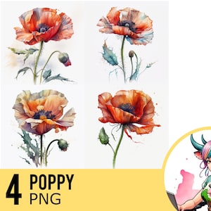 Coquelicot aquarelle PNG clipart, aquarelle de fleur de coquelicot, téléchargement immédiat, utilisation commerciale, quatre images PNG distinctes, UD199