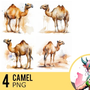 Chameau aquarelle PNG clipart, chameau Portrait PNG aquarelle, téléchargement immédiat, usage Commercial, quatre Images PNG distinctes, UD219