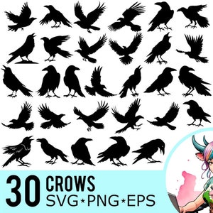 Kraai SVG PNG EPS-clipart, kraaien silhouet, Halloween Gothic Raven Bird sjabloon, vectorbestanden knippen, Instant Download, 30 bundelsjablonen