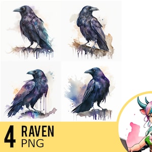 Raven Watercolor PNG clipart, Raven Portrait PNG Watercolour, Instant Download, Commercial Use, Four Separate PNG Images, UD78