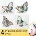 see more listings in the PNG Watercolor section
