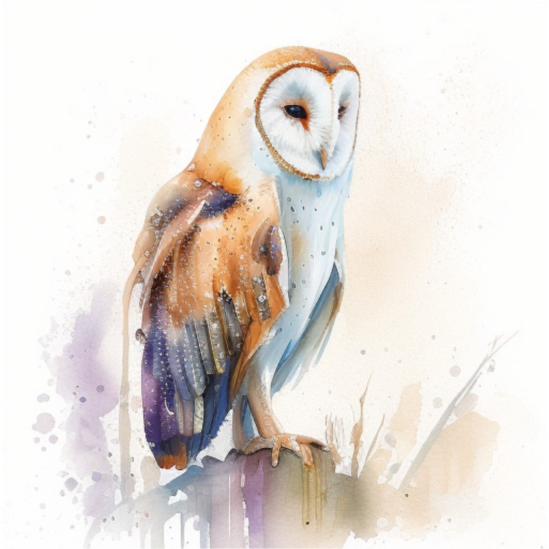 Washed Owl Barn Owl Watercolor Clipart: 4 PNG Images (commercial Use) - Etsy