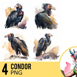 Condor Watercolor Clipart: Bird Portrait 4 PNG (Commercial Use)