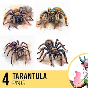 Watercolor Tarantula Clipart: Spider Portrait 4 PNG Images (Digital Download)