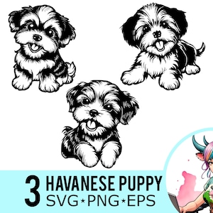 Havanese Puppy Clipart: SVG PNG EPS Cut Files (Instant Download)