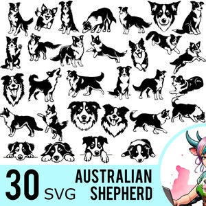 Australian Shepherd SVG Clipart, Hund Silhouette, Shepherds SVG-Vorlage, Haustier-Svg, geschnittene Dateien, sofortiger Download, 30 SVG-Bundle-Vorlagen, 418