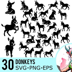 Esel SVG PNG EPS Clipart, Esel Silhouette, Baby Maultier Vorlage, Jacks Jennets Fohlen Schnittdateien, Sofortiger Download, 30 Bundle-Vorlagen, 627