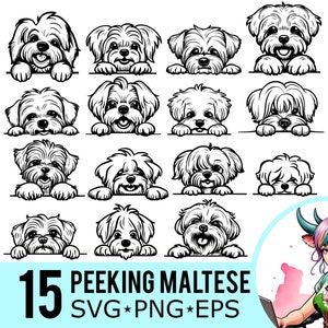 Peeking Maltese SVG PNG EPS Clipart, Pooch Silhouette, Cute Dog Face Template, Vector Cut Files, Instant Download, 15 Bundle Templates, 436
