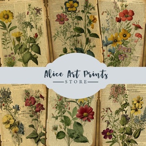 Vintage Wildflowers Dictionary Pages, Floral Junk Journal Kit, Journaling Cards, Printable Botanical Junk Journal & Scrapbooking Supplies