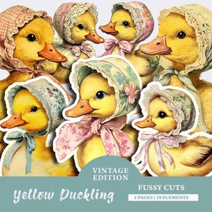 May include: Vintage illustration of six yellow ducklings wearing bonnets and bows. The ducklings are arranged in a circle, with their heads facing outward. The image is in a vintage style, with a soft, pastel color palette. The image is perfect for scrapbooking, card making, and other craft projects.
