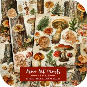 Pagine di diario di funghi vittoriani, carta digitale per diario botanico vintage Amanita muscaria, fogli di collage di scrapbooking e orto di erbe aromatiche