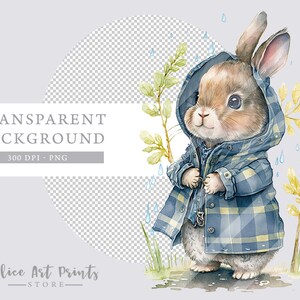 May include: A watercolor illustration of a brown rabbit wearing a blue and yellow plaid raincoat. The rabbit is standing in a puddle of water with green grass and yellow leaves around it. Raindrops are falling from the sky.