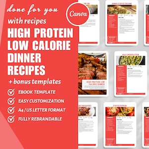 High Protein Recipes Digital Download eBook Canva Template Editable Lead Magnet Digital Prints Done For You Nutrition Guide Small Business