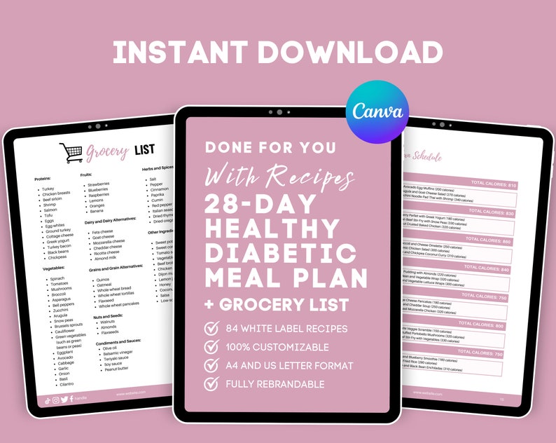 28 Day Diabetic Meal Plan with Shopping List Type 1 Type 2 Etsy México