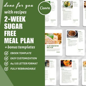 Modello di piano alimentare low carb di 2 settimane, modello di ricettario Canva, modello di eBook Canva, pagine di ricette digitali, coach nutrizionale, contenuto dfy