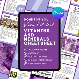 Vitamins and Minerals 101 Best Vitamins Energy and vitality Lead Magnet for Health and Fitness Coaches Digital Download Canva Template DFY