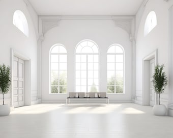 Zoom Virtual Background, Spacious Zoom Meeting Backdrop