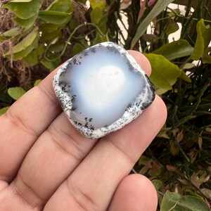 希少な天然デンドライトオパールカボション！アンティークな天然デンドライトオパール！希少なデンドライトオパールの宝石！ジュエリー作りに最適なデンドライトオパール！ 画像 12