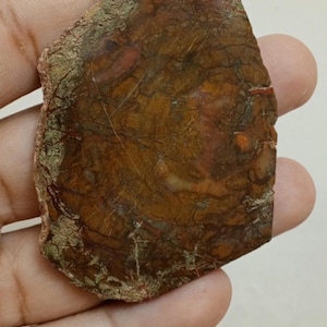 Natural Petrified Wood Polished Slice,Top Quality Petrified Wood Slice,Petrified Wood Slice for Jewelry Supply.
