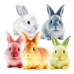 Colourful Bunny Rabbits PNG Digital Download Files - Bunnies Rabbits Clipart Clip Art Easter Spring