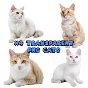 X4 Cute Cat PNG images, Cat Clipart, Ginger designs, Free Commercial Use, Instant Download, Sublimation Design, Digital Paper Craft