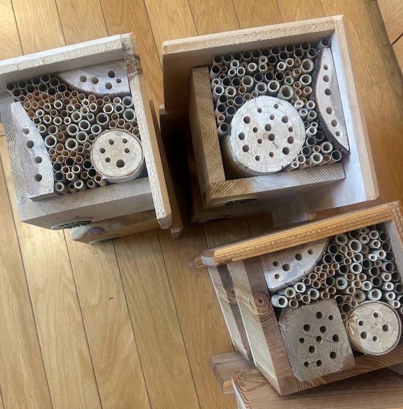 May include: Three wooden bee houses with open-front designs. Each structure contains a collection of hollow bamboo tubes and drilled wooden blocks with various circular openings, providing nesting cavities for solitary bees in a natural wood finish.