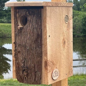 XL Cedar Screech Owl House: Rustic Bark Front Nest Box