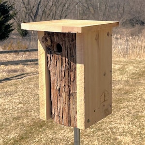 Handcrafted Cedar Nest Box: Rustic Bark Front Birdhouse