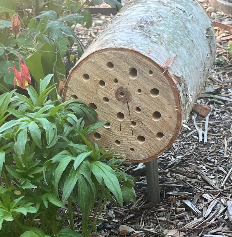 Bee House: Rustic Birch Log Solitary Bee Habitat With Mounting Pole - Etsy