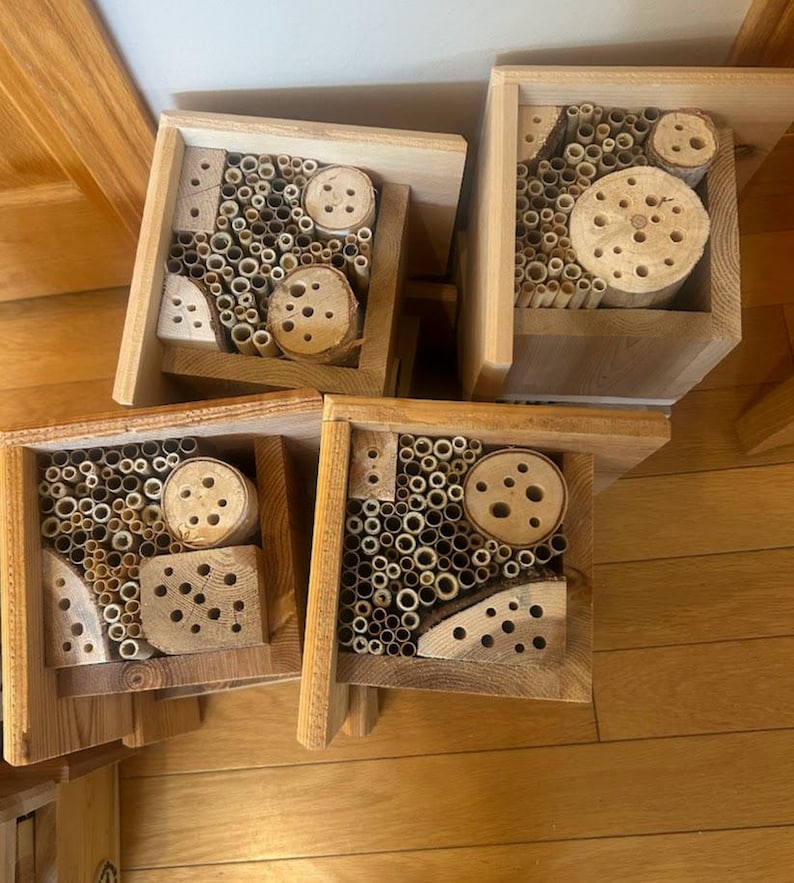 May include: Four wooden bee houses, each featuring a square frame filled with a variety of natural materials including hollow bamboo reeds and sections of logs with drilled holes of different sizes to provide nesting sites for solitary bees.