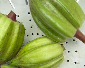 Alabama Red Okra seeds (50 seeds)