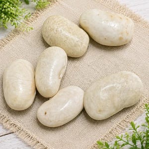 Greek Gigante beans -20 seeds