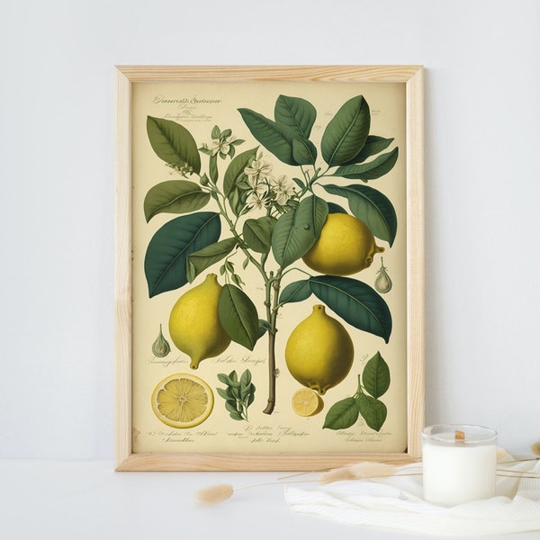 Vintage Style Print - Etsy