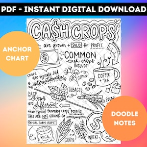 CASH CROPS - Printable + Traceable Anchor Chart Template (PDF) Social Studies / Economics / Doodle Notes / Vocabulary [Digital Good]