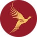 VivaDesigner store logo