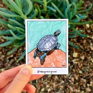 Douglas Turtle Sticker | Pond Slider Turtle | Cute Slow Down Reminder | Handmade Water Resistant Glossy Sticker