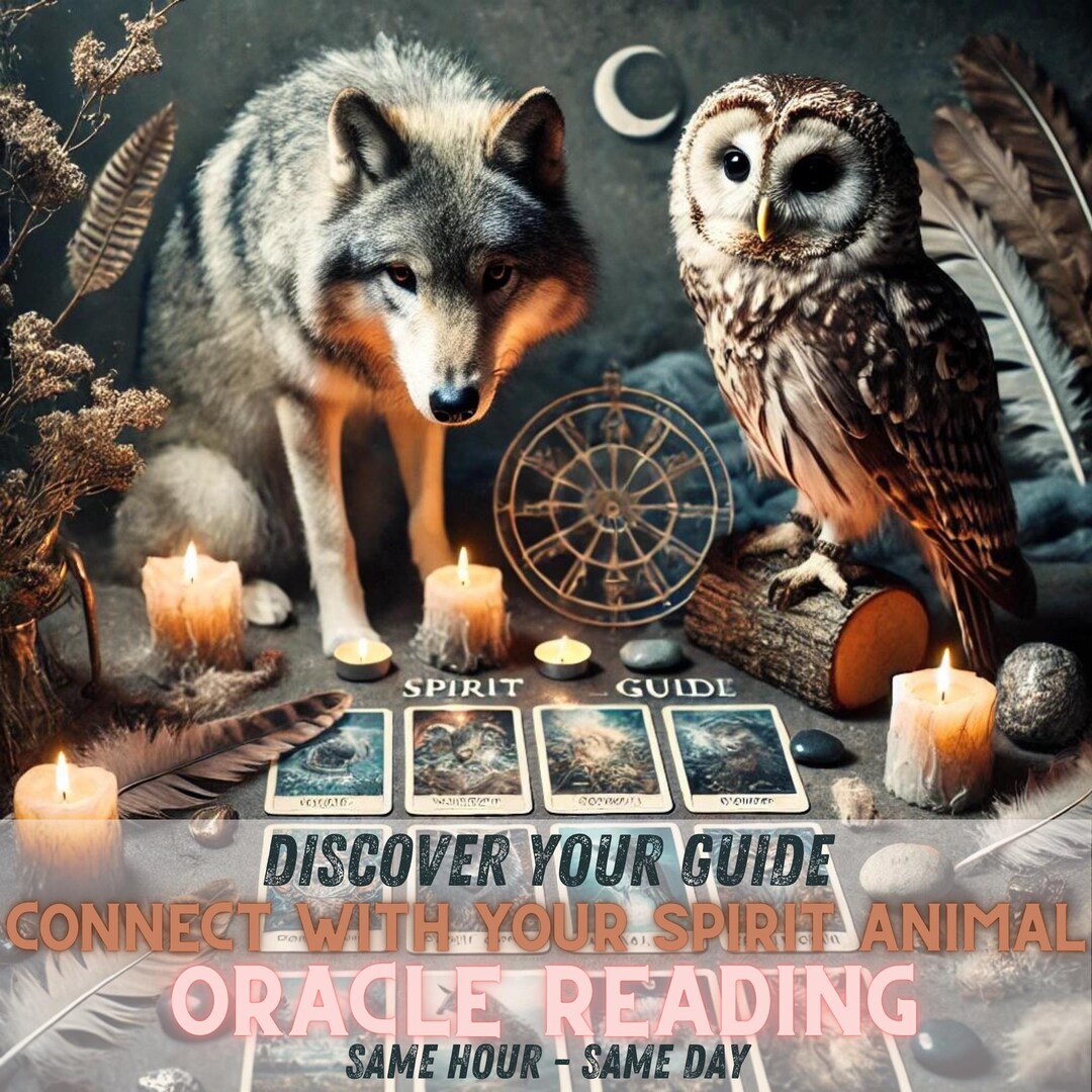 Spirit Animal Oracle Reading Same Hour Same Day Connect W/ Your Spirit ...