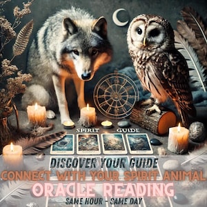 Leitura do Oráculo do Espírito Animal Mesma Hora Mesmo Dia Conecte-se com seu Espírito Animal leitura psíquica tarô adivinhação bruxa presente espiritual para ela
