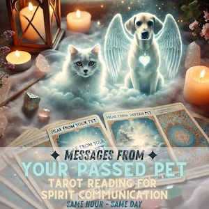 Passed Pet Tarot Reading Messages from Your Passed Pet Same Hour Same Day psychic reading divination witch spiritual oracle gift for her