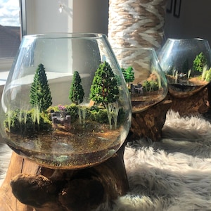 Mossarium 101: A Complete Guide To Making Your Own Moss Terrarium!