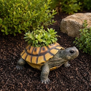 May include: A resin turtle planter with a yellow and brown shell, filled with green succulents. The turtle has a grey head and legs, set on dark brown mulch, surrounded by green plants. A decorative garden ornament.