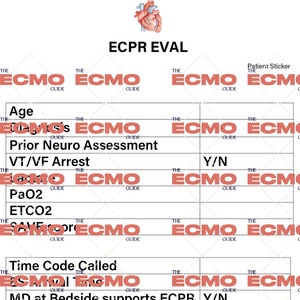 May include: A red heart graphic with the text "ECPR EVAL" above it. A grid with the text "THE ECMO GUIDE" repeated across the top and down the left side. The grid contains text such as "Age", "Prior Neuro Assessment", "VT/VF Arrest", "PaO2", "ETCO2", "Time Code Called", "MD at Bedside supports ECPR", "ROSC Obtained", and "Goal is ECPR in <20 mins".