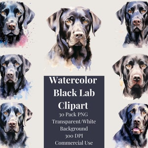 Labrador Retriever Puppies Clipart Collection | Black Lab PNG | Black Labrador Clipart | Cute Dog Clipart | Dog PNG | Dog Portrait