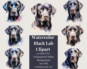 Labrador Retriever Puppies Clipart Collection | Black Lab PNG | Black Labrador Clipart | Cute Dog Clipart | Dog PNG | Dog Portrait