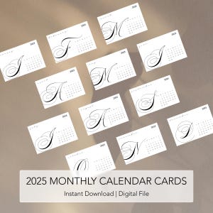2025 印刷可能な月間プランナーカード、プランナーポケットカード、印刷可能なプランナーアクセサリ、月間優先事項のジャーナリングカード (V4)