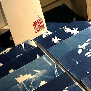 Impression Cyanotype Artisanale