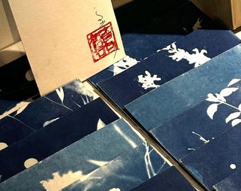 Handmade Cyanotype Printing