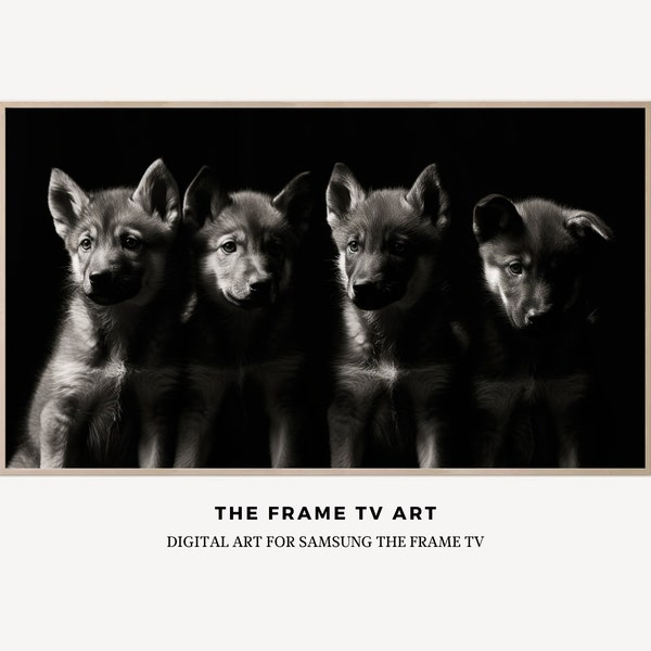 Samsung The Frame TV Art | Digital TV Art | Downloadable Minimalist TV Art | Baby Wolf Pack | Wolves | Animal Art | Black and White Art |088