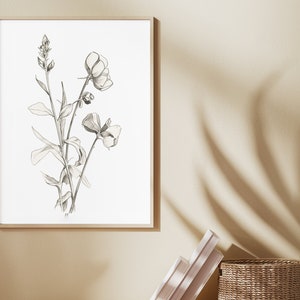 Minimalist Art | Nature Sketch | Botanical Sketch | Nature Art | Black and White Prints | Sweet Pea | Digital Art | PRINTABLE Digital | 067
