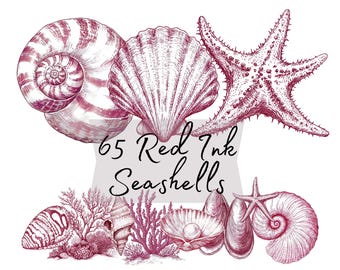 Red Ink Seashells Clipart Bundle, Watercolor Nautical Ocean Elements PNG, Beach Decor Shells Starfish Coral for Cards, Planners, Invites